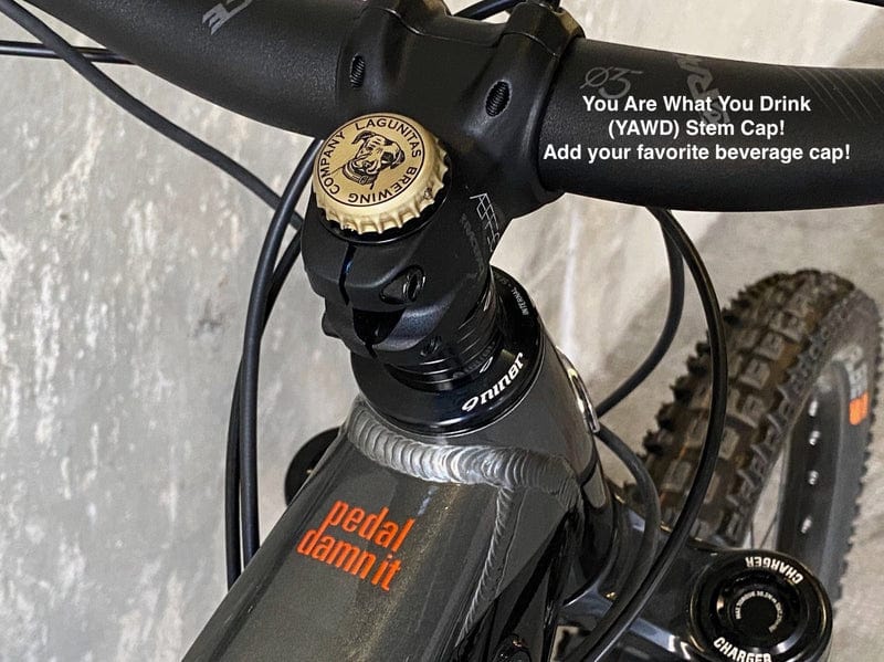 Niner WFO e9 eMTB You are what your drihk beverage cap on Fly Rides